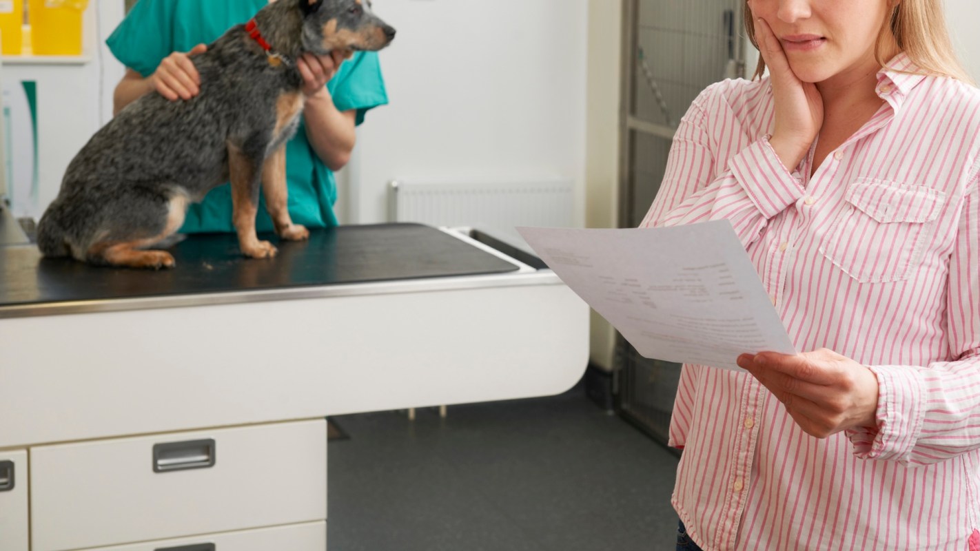 A woman, with a hand on her cheek, looks at a vet bill while a dog stands on a table in a veterinary clinic.