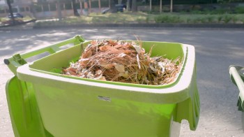 A green compost bin curbside filled with organic waste like leaves and pine needles.