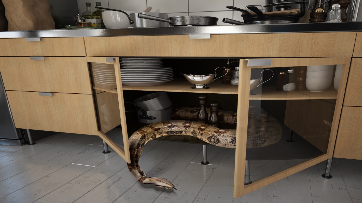 A snake is coiled inside a kitchen cabinet next to plates and kitchen utensils.
