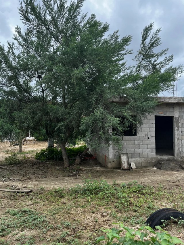 A building next to a tree.