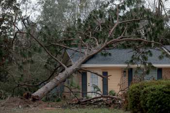 A tree leans against a home in Florida after Hurricane Isaias.