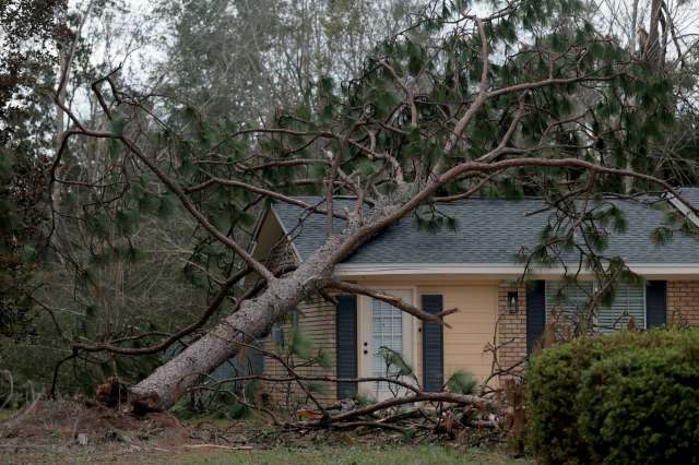 A tree leans against a home in Florida after Hurricane Isaias.