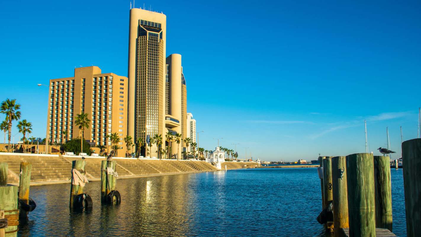 A waterfront view featuring tall buildings and palm trees, with boats in the background.