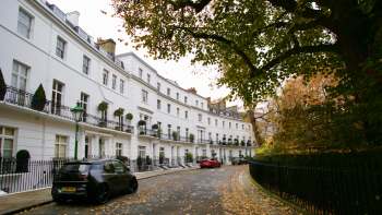 A tree-lined London street featuring white townhouses and parked cars.