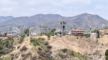 A landscape featuring hills, palm trees, and rebuilt houses after a wildfire.