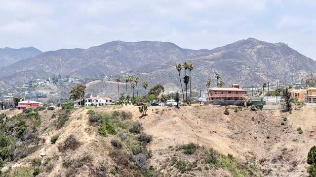A landscape featuring hills, palm trees, and rebuilt houses after a wildfire.