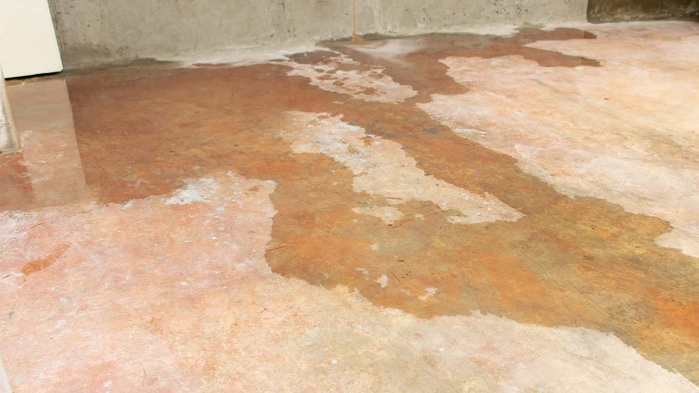 A wet concrete floor.