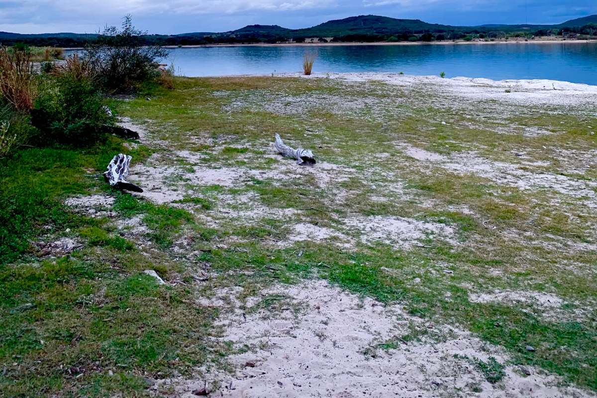 A sandy area near Lake Medina in Texas with scattered vegetation and two pieces of driftwood.