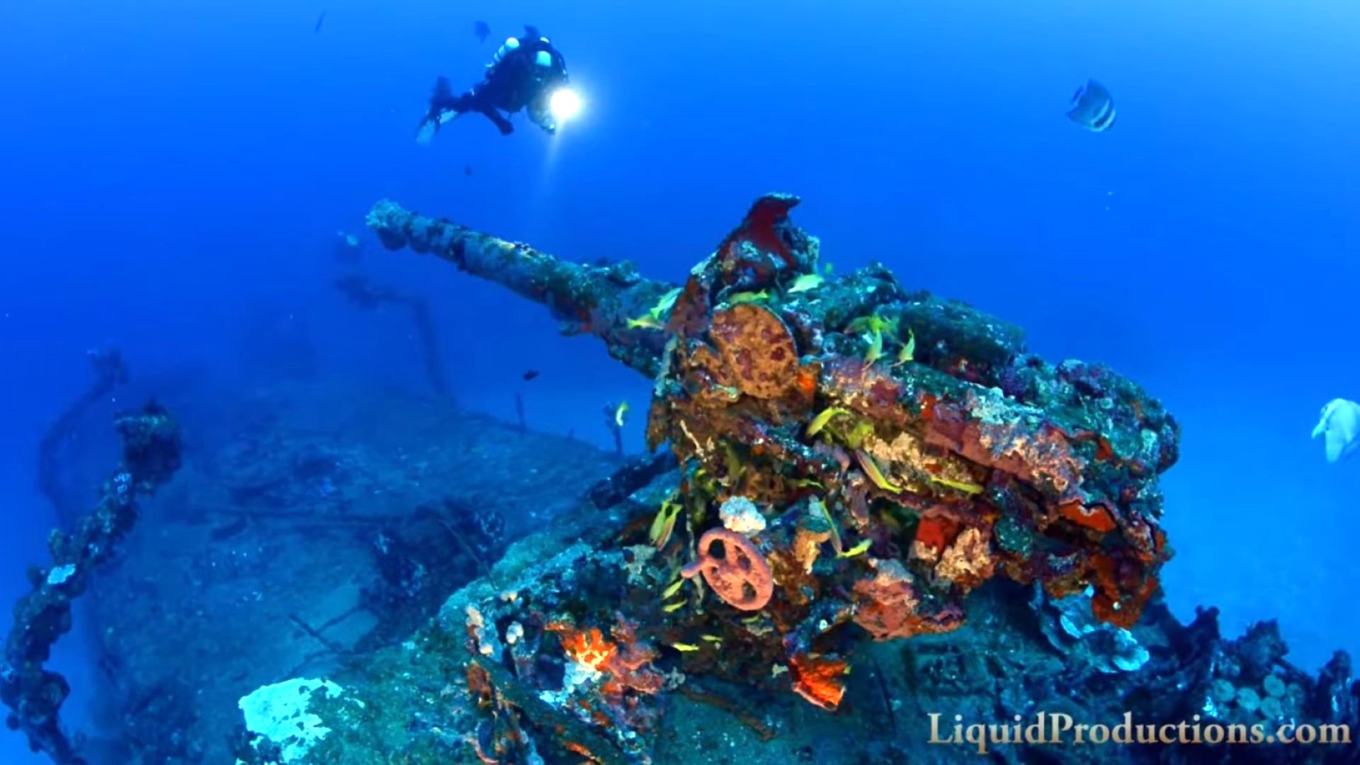 Toxic fuel in Micronesia's WWII shipwrecks harbors bacteria that could help fight oil pollution