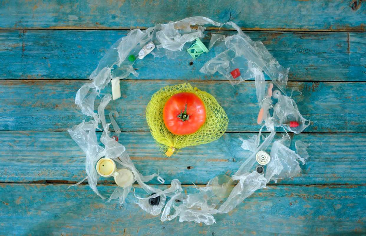 A tomato surrounded by plastic packaging.