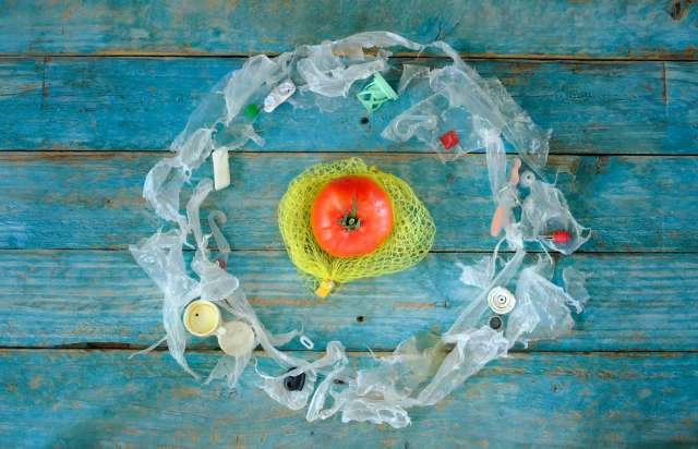 A tomato surrounded by plastic packaging.