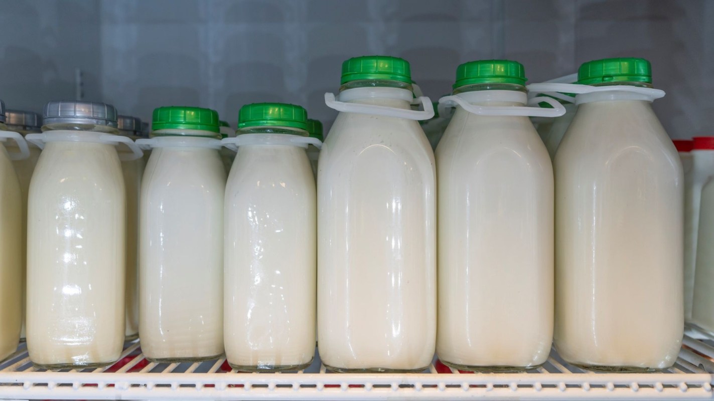 Bottles of milk.