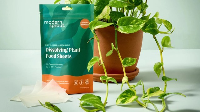 A package of dissolving plant food sheets next to a potted green plant.
