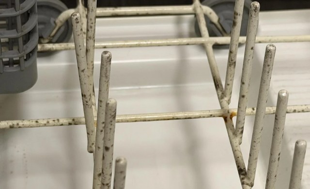 Homeowner spots dishwasher 'mold,' then learns the hidden filter may be the real problem