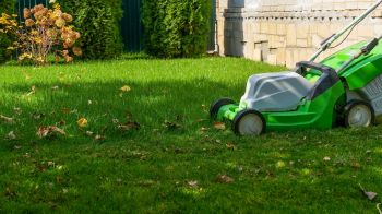 A lawn mower stands on a grassy area scattered with fallen leaves and surrounded by shrubs.
