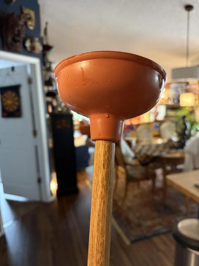 A plunger.