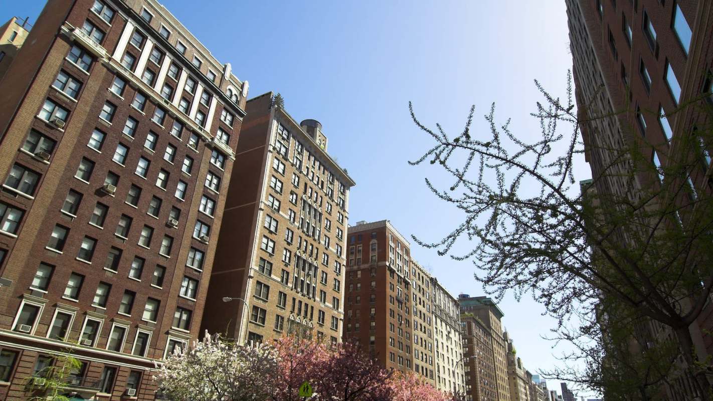 Buildings line a city street with trees and pink flowering plants in the foreground under a clear blue sky.