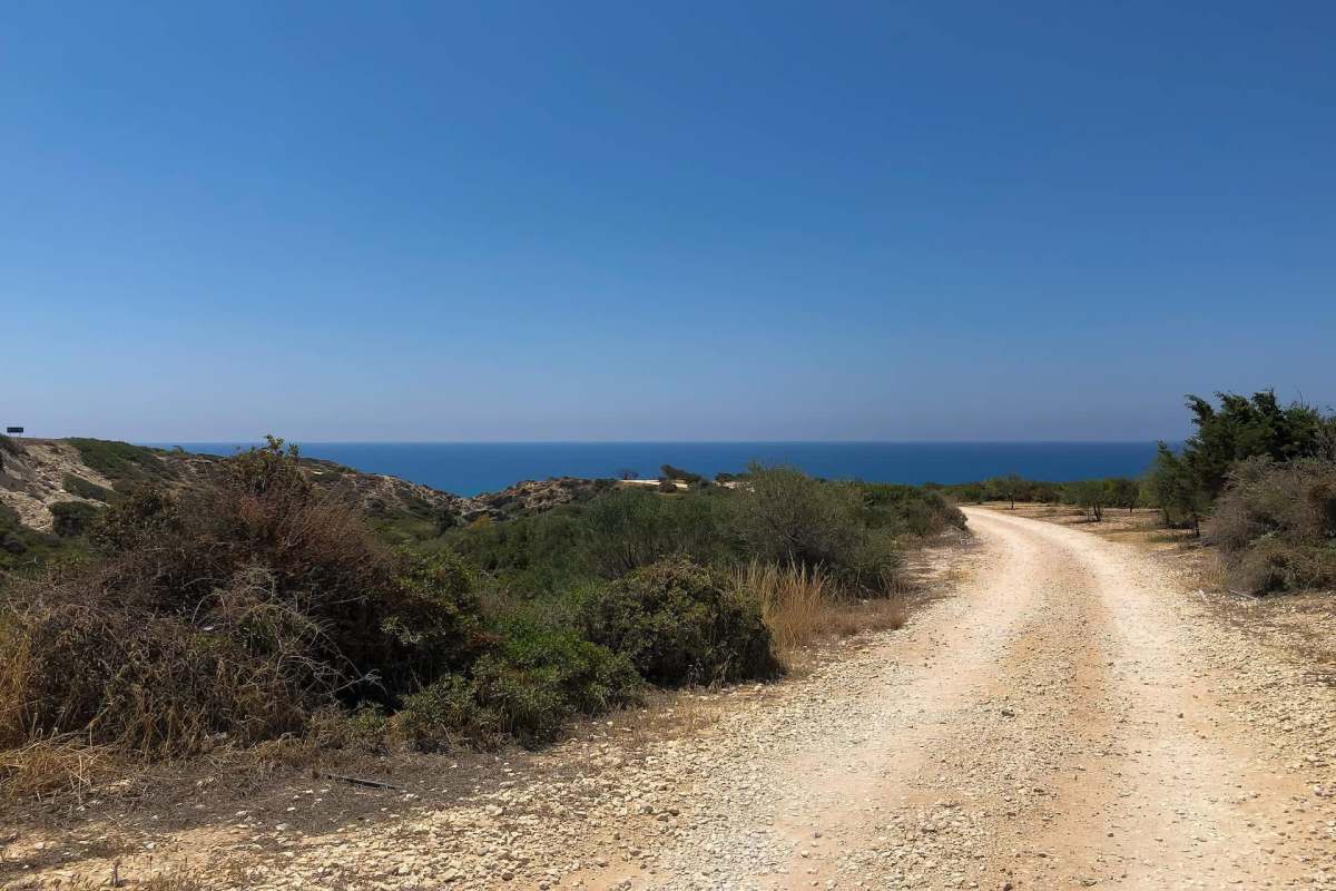 A winding dirt road leads through shrubs toward the sea and clear blue sky.