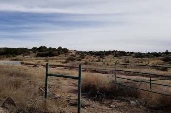 A grassy landscape with rolling hills, a fence, and patches of trees under a cloudy sky.