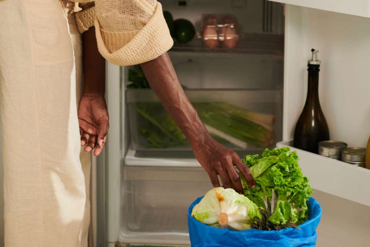 A person is retrieving lettuce from a blue bag while standing near an open refrigerator.