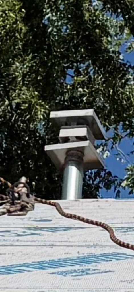 A roof vent.