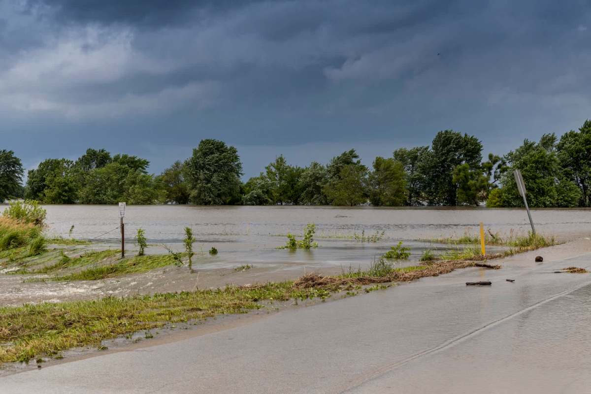 Flooded landscape with trees, markers, and a partially submerged road under dark skies.