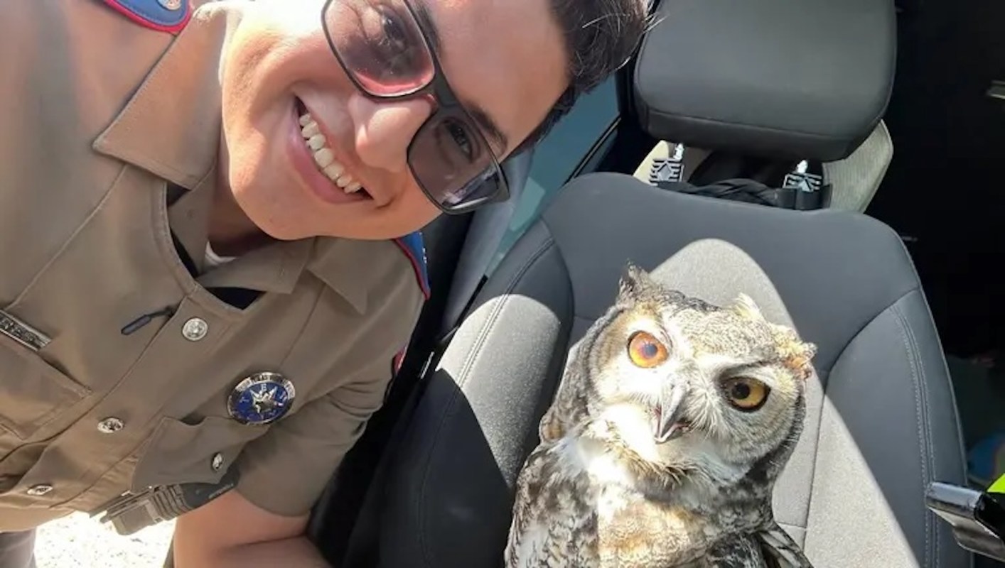 A state trooper with an owl.