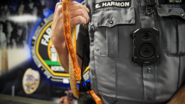 A police officer holds a snake in front of a police department emblem.