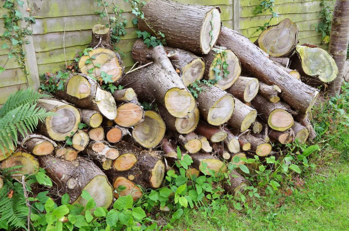 A stacked pile of logs beside a wooden fence, surrounded by greenery.