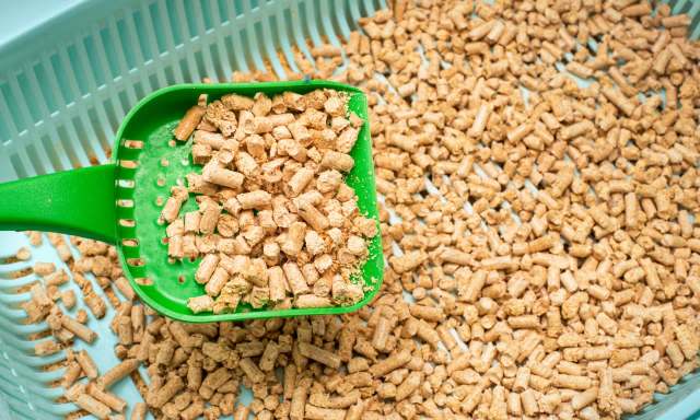 A green scoop filled with wood pellets on a light blue container background.