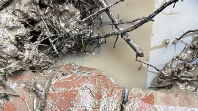 A cracked sewer pipe in muddy water.