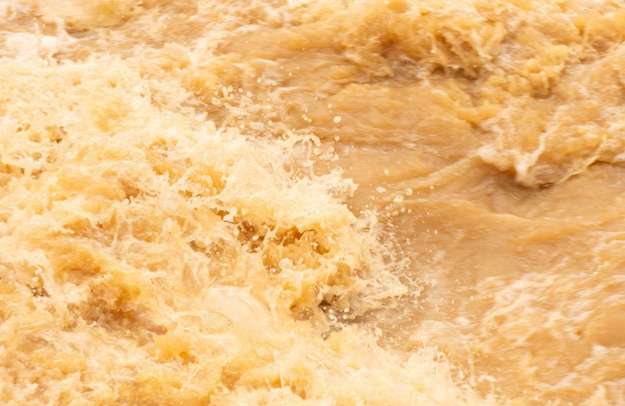Polluted water.