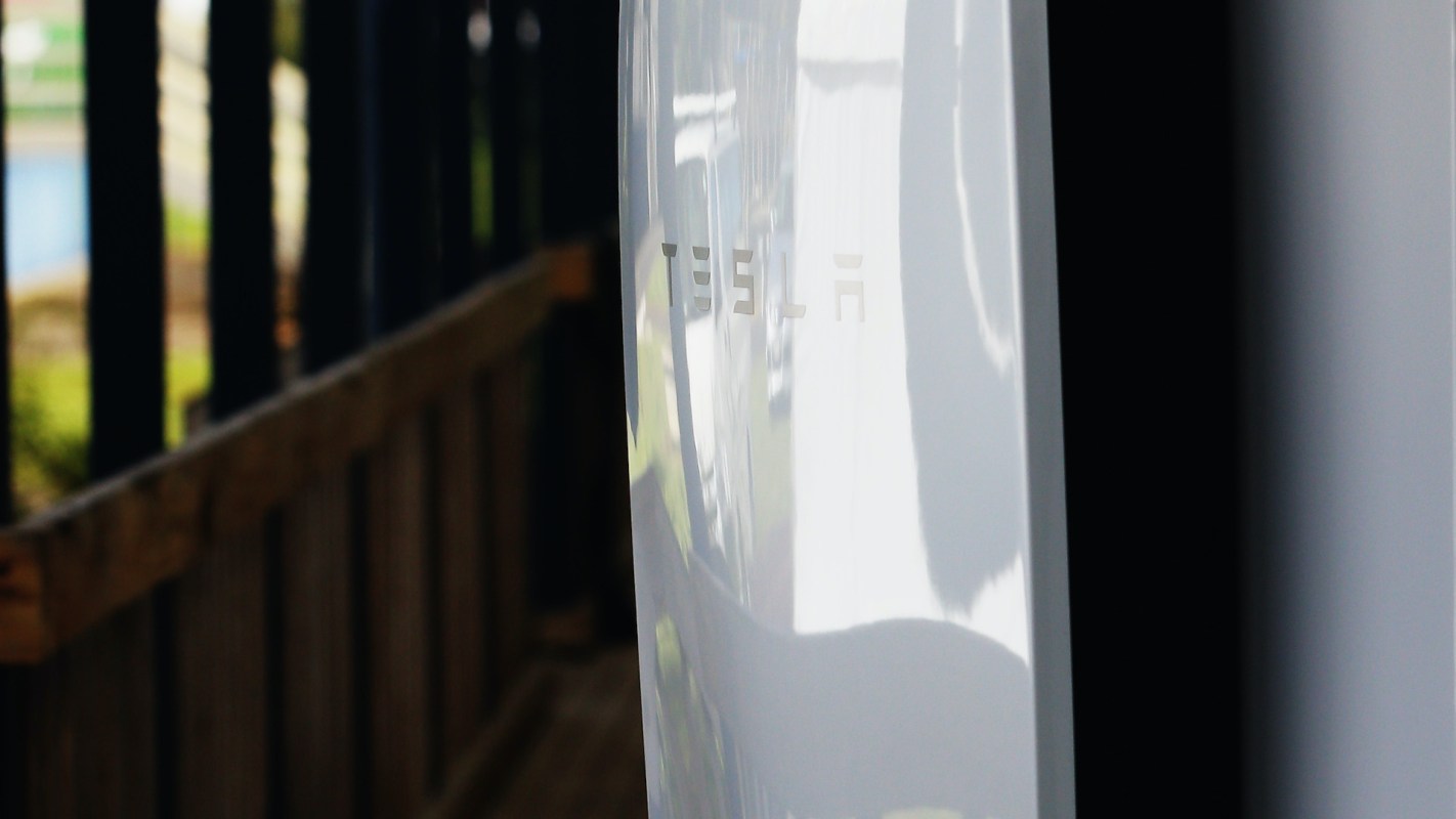 A Tesla logo is reflected on a shiny surface with a blurred background of greenery and a wooden fence.