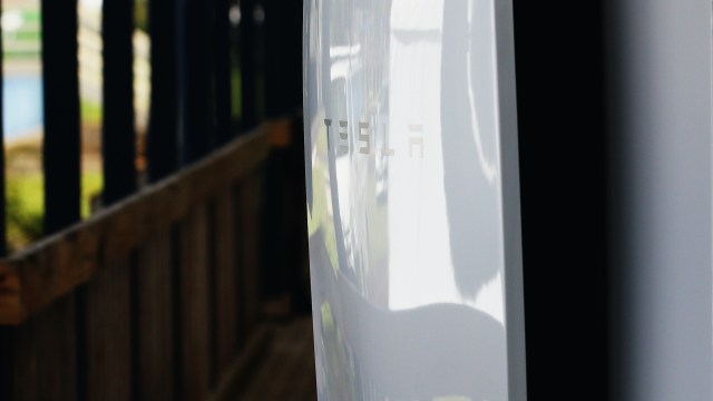 A Tesla logo is reflected on a shiny surface with a blurred background of greenery and a wooden fence.