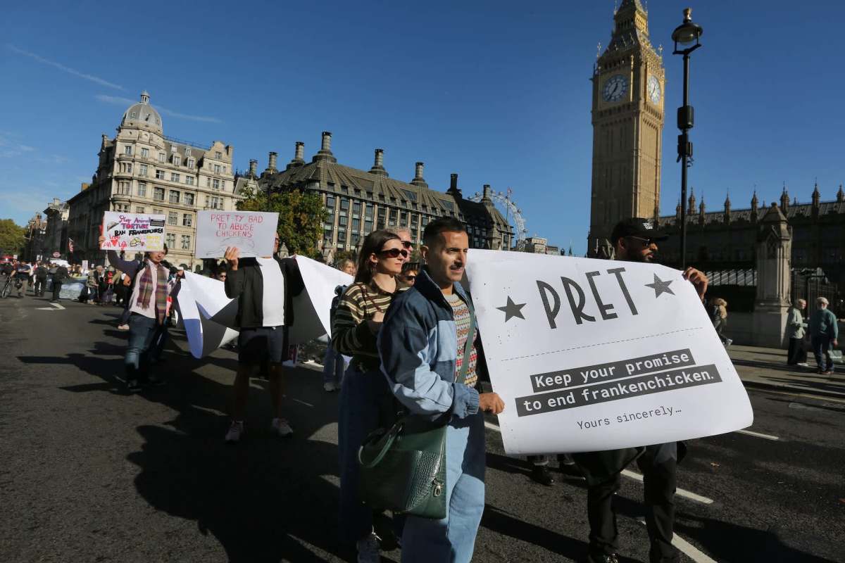 Protesters hold signs advocating against animal abuse near the Big Ben clock tower in London.