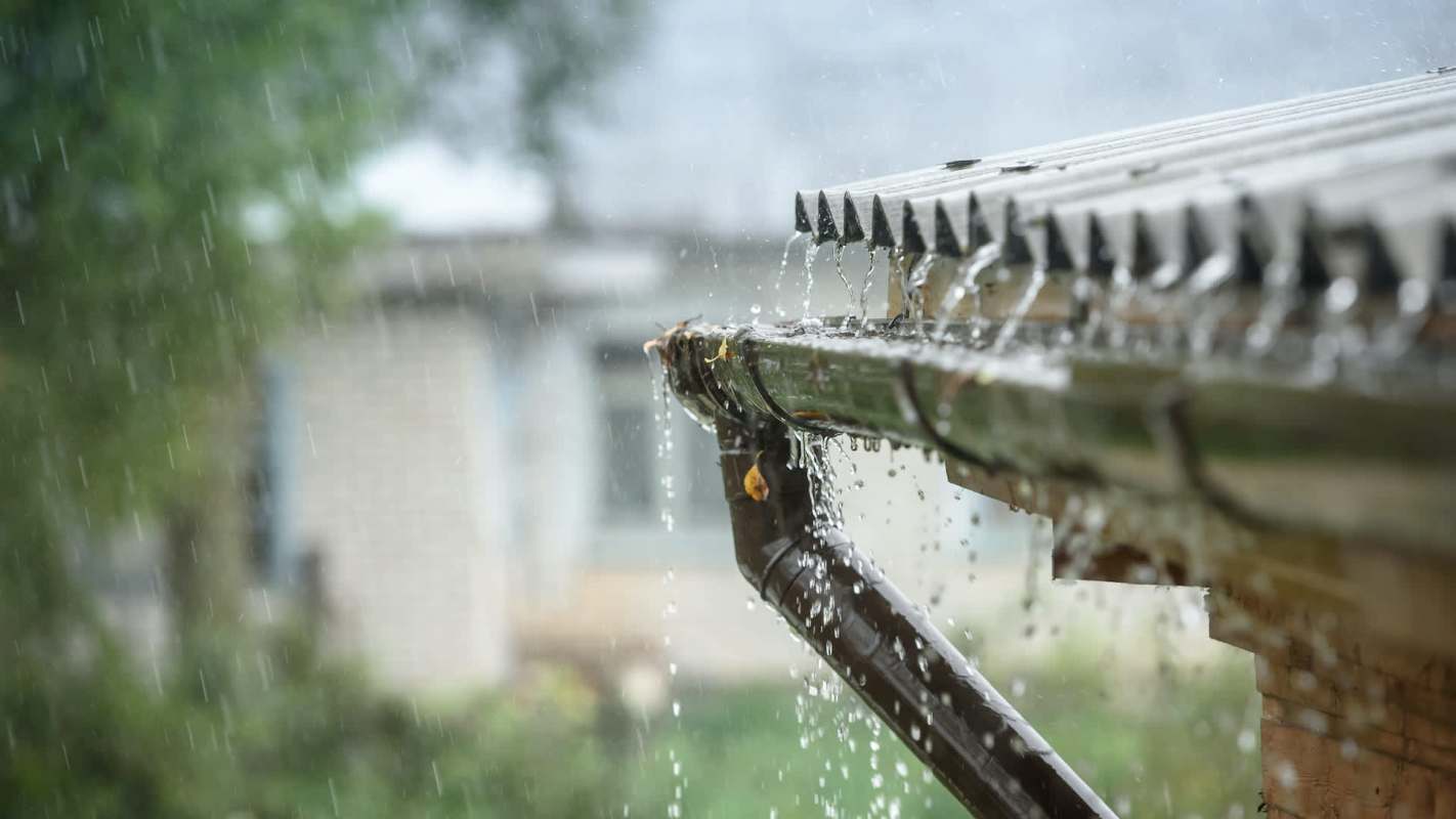 Water flows from a gutter during rainfall, with blurred trees and a building in the background.