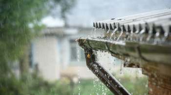 Water flows from a gutter during rainfall, with blurred trees and a building in the background.