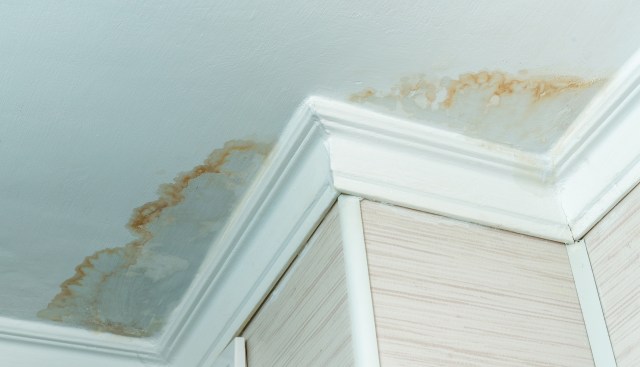 Water damage stains on the ceiling and wall corner, with discoloration and peeling paint.