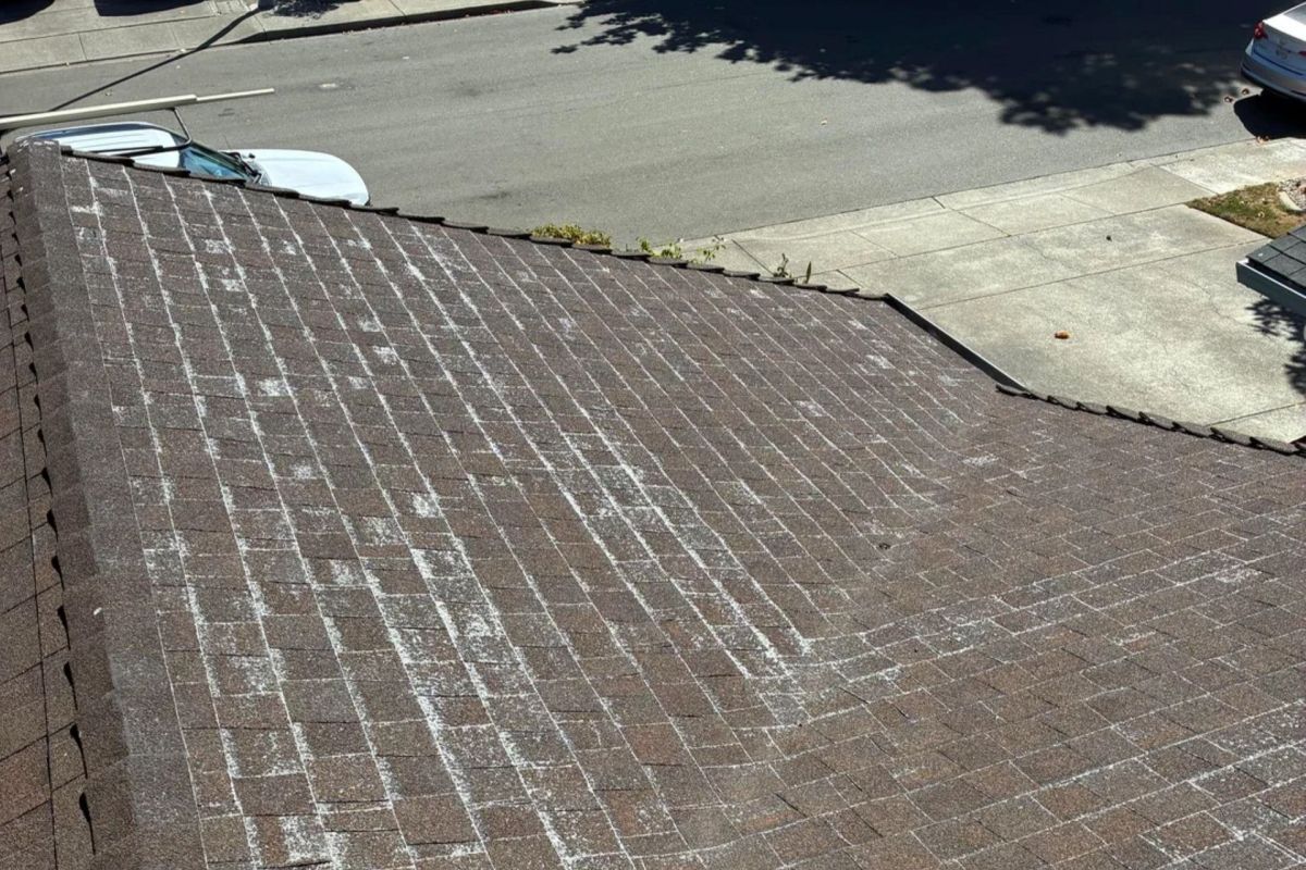 Shingles on a roof.