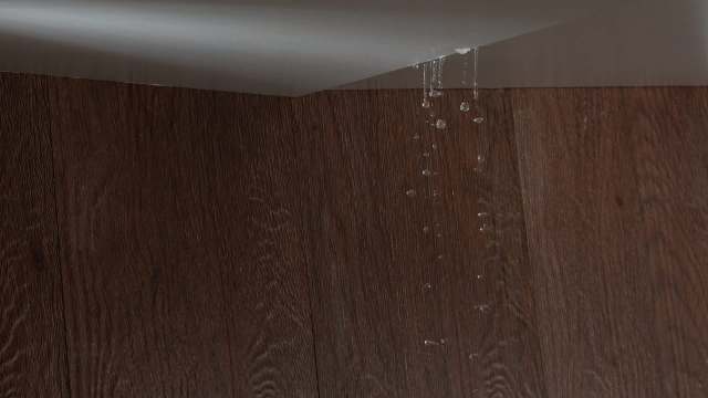Water droplets drip from a corner onto a wooden floor.