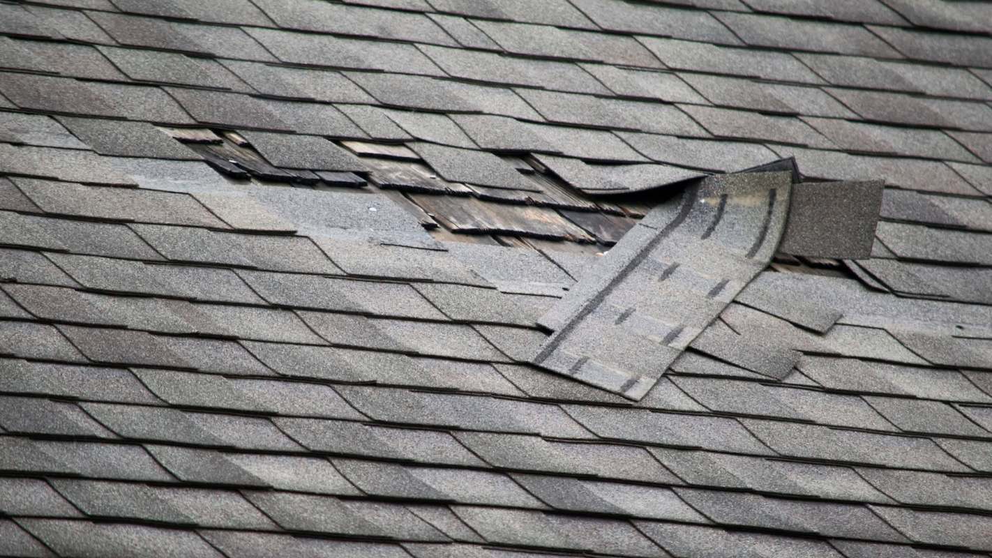 A damaged roof with lifted shingles and exposed wooden decking.
