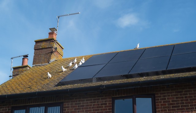After a bill-free summer, solar owner learns how winter generation can drop