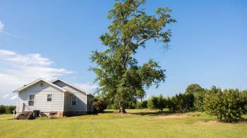 A single-story house in the country.