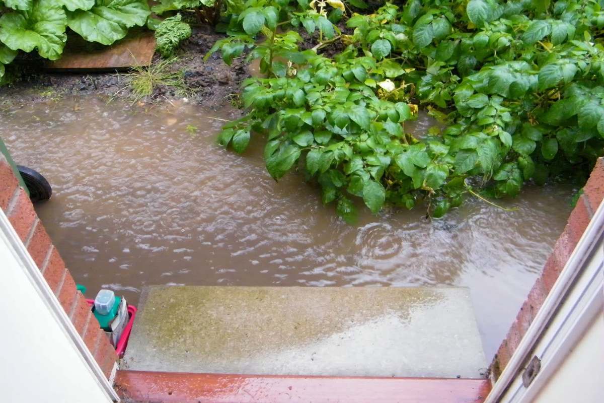 Flood water reaching a porch stoop.