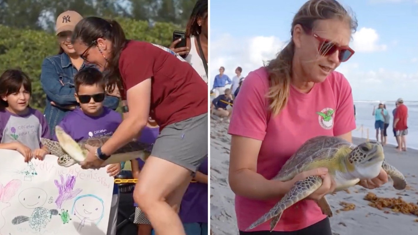 Two women hold a sea turtle on the beach while people observe nearby.