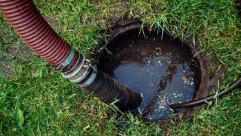 A drainage hose extends into a puddle of water in a grass area.