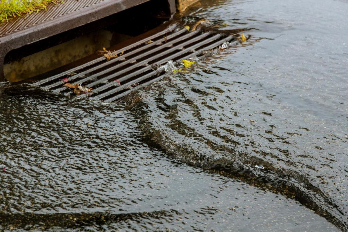 Water flooding around a storm drain.