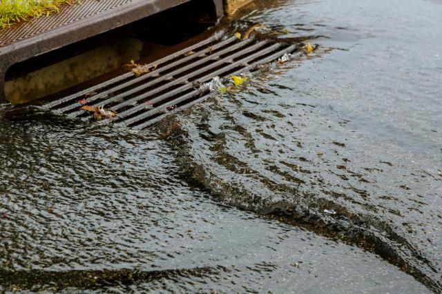 Water flooding around a storm drain.