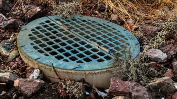 A circular manhole cover surrounded by rocks and dry vegetation.