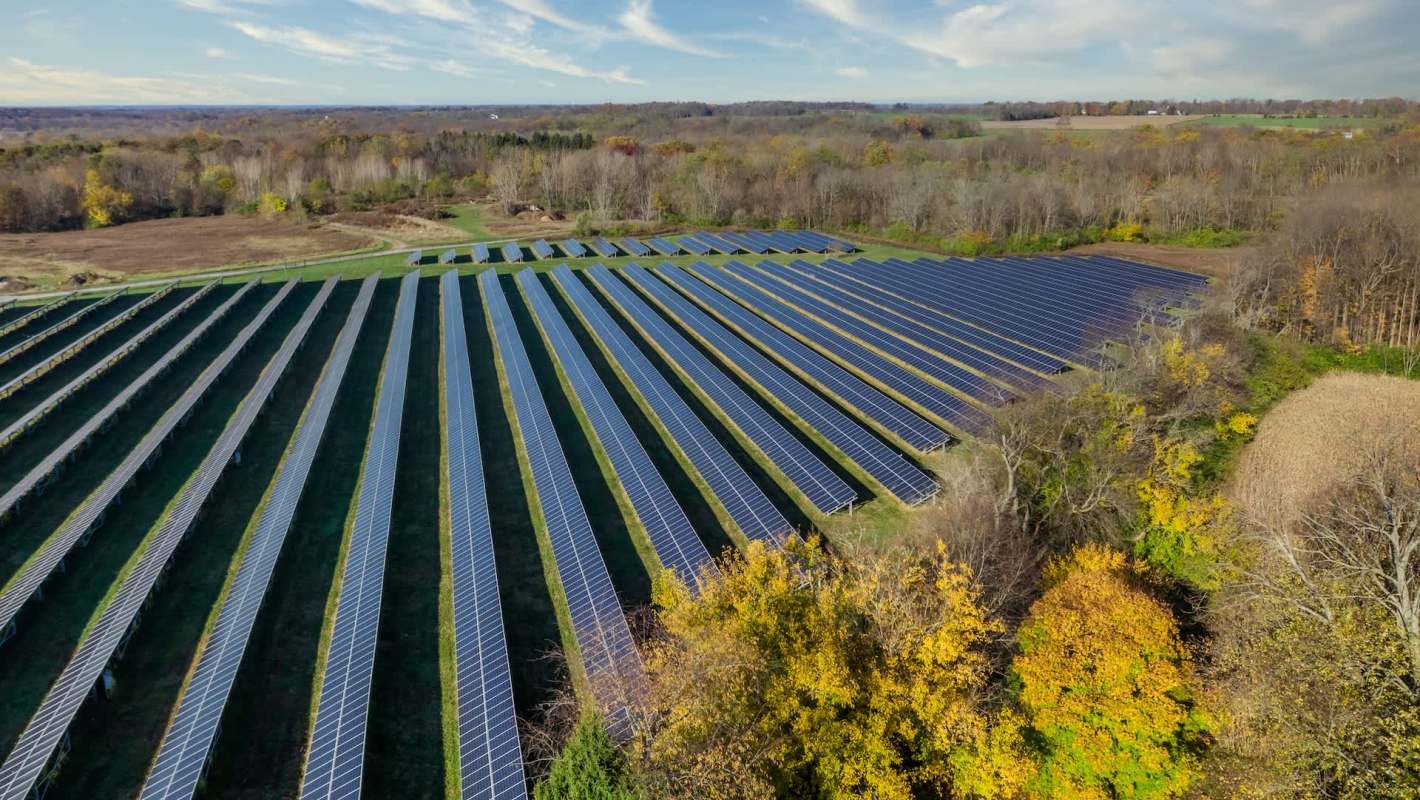 A solar farm in a forest clearing.